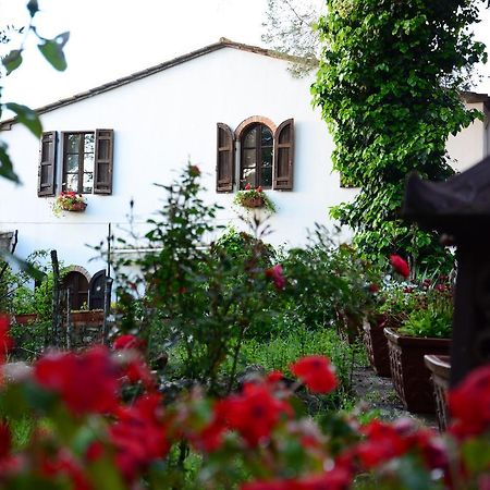 Prato A Baldo Villa Massa Marittima Eksteriør bilde