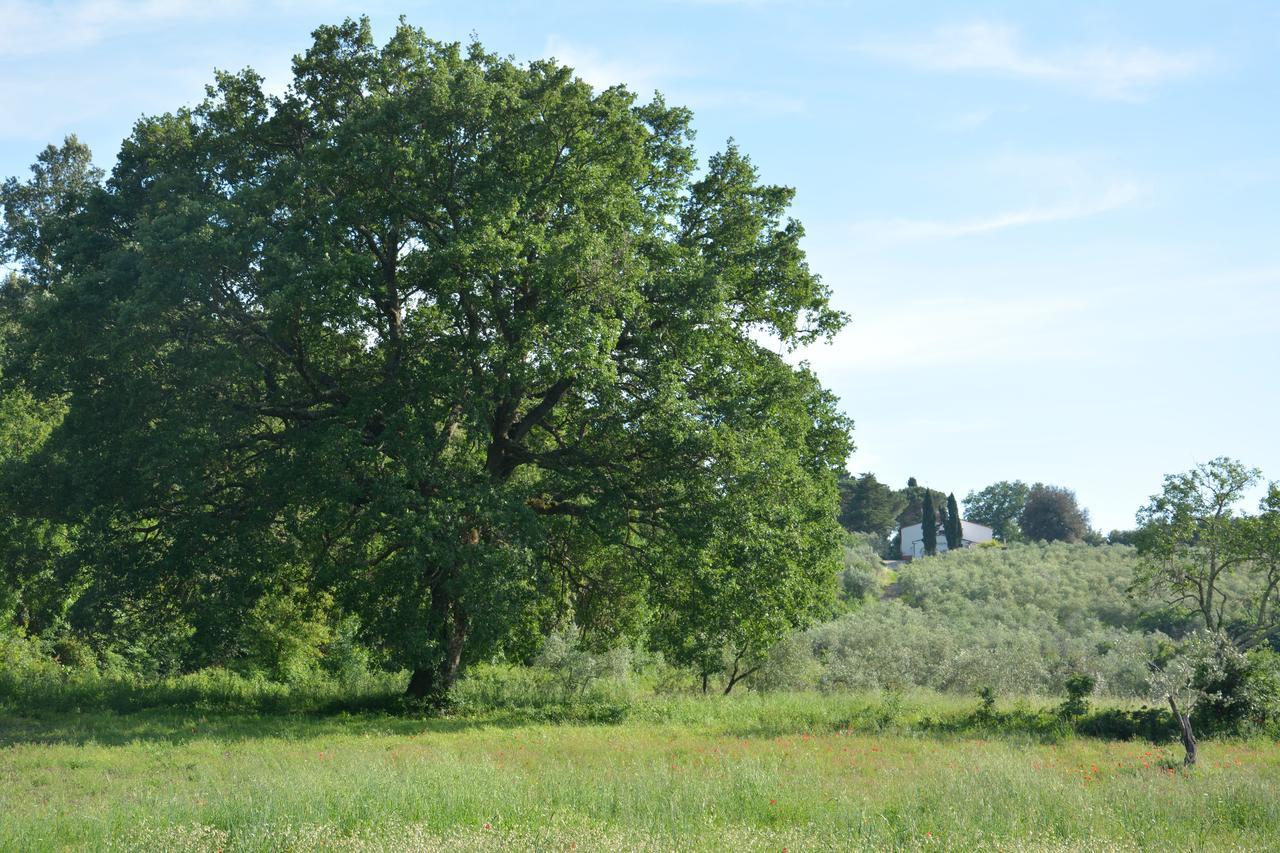 Prato A Baldo Villa Massa Marittima Eksteriør bilde