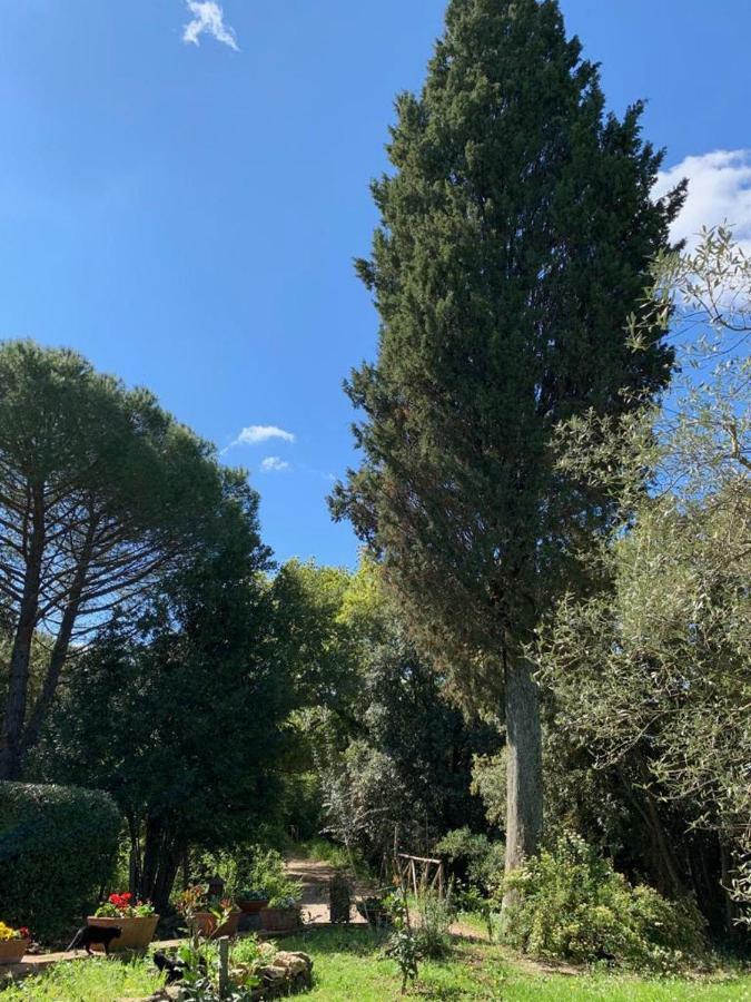 Prato A Baldo Villa Massa Marittima Eksteriør bilde